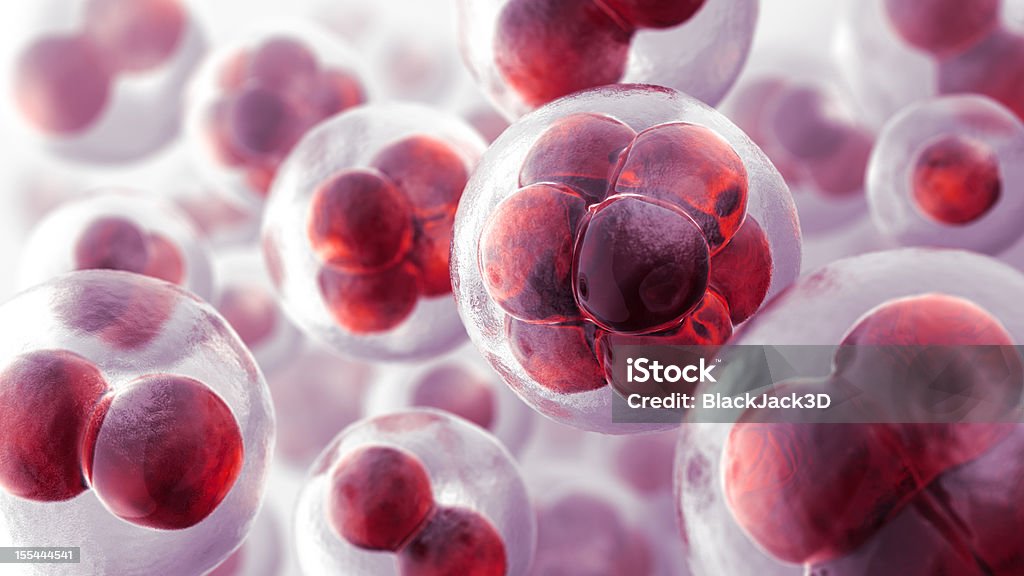 세포 - 로열티 프리 인간의 세포 스톡 사진