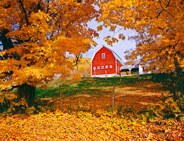 Autumn in Vermont Autumn country side with rustic barn in the Green Mountains, Vermont green mountains appalachians photos stock pictures, royalty-free photos & images