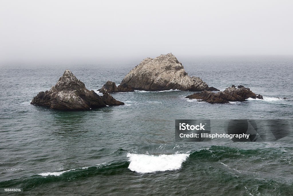 Oceano, rocce vicino a San Francisco - Foto stock royalty-free di Acqua