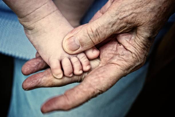 The palms of the father, the mother are holding the foot of the newborn baby in a white blanket. Feet of the newborn on the palms of the parents. Studio macro photo of a child's toes, heels and feet.