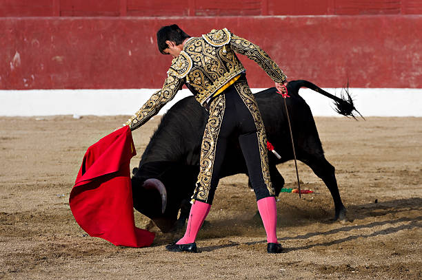 matador - matador fotografías e imágenes de stock