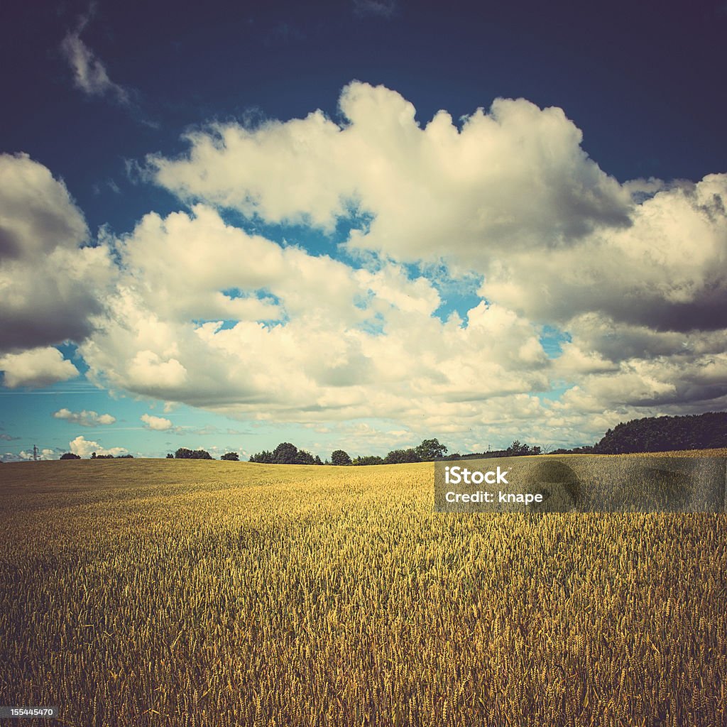 Hermoso paisaje - Foto de stock de Agricultura libre de derechos