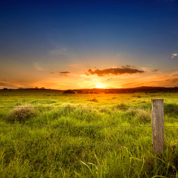 Last light over field stock photo