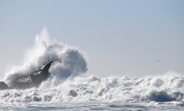 Big Wave braking at Rock in Half Moon Bay, California Big Wave braking at Rock in Half Moon Bay, California. (Mavericks surf spot at Half Moon Bay). mavericks california stock pictures, royalty-free photos & images