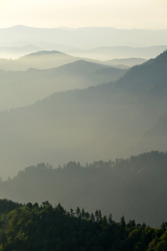 Classic ridgelines and early morning mist in the Smoky Mountains National Park