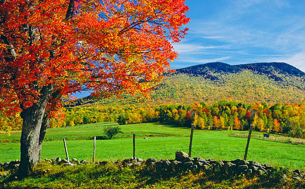 istock Autumn in New Hampshire 155445793