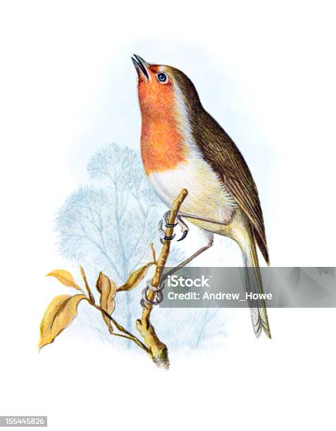 Robin Chromolithograph Stock Illustration - Download Image Now - Robin, Illustration, Singing