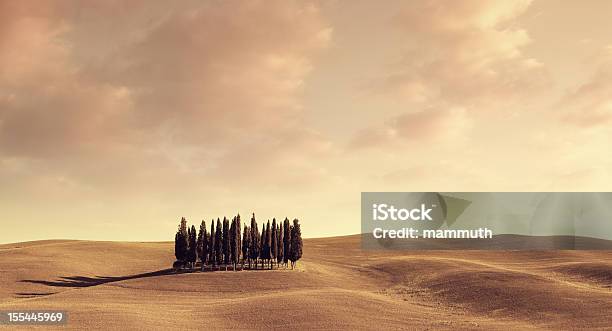 Italiano Cypresses Al Tramonto - Fotografie stock e altre immagini di Toscana - Italia - Toscana - Italia, Paesaggio, Stile minimalista