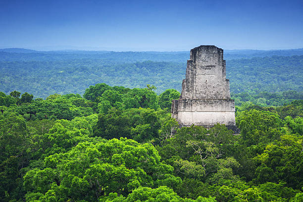 Tikal Guatemala View of one of the various temples on the archeological site of Tikal and the jungle from a top of a of the structures allowed to the public to climb. maya temple stock pictures, royalty-free photos & images
