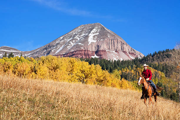 vaqueros de las montañas rocosas - cowboy blue meadow horizontal fotografías e imágenes de stock