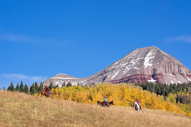 istock rocky mountain horseback landscape 155446352