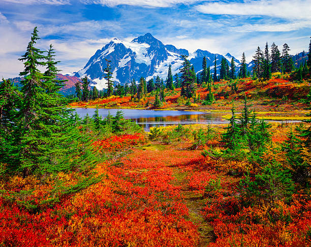 実装 shuksan 、写真、ワシントン湖、鮮やかなカーペットのオレンジの秋の色 - north cascades national park ストックフォトと画像