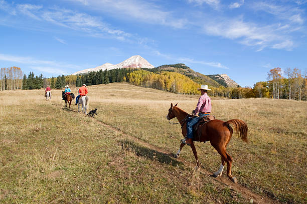 rocky mountain reiten landschaft - cowboy blue meadow horizontal stock-fotos und bilder