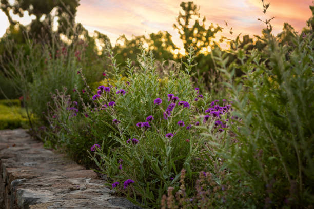 Landscaping and garden design