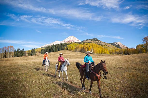 istock rocky mountain horseback landscape 155446609