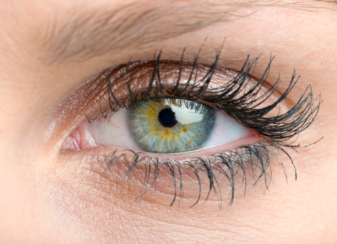 Close up, profle photo o a female eye, iris, pupil, eye lashes, eye lids. High quality photo