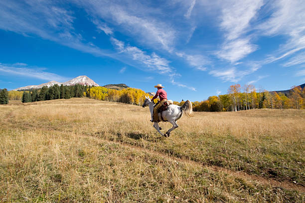 rocky mountain reiten landschaft - cowboy blue meadow horizontal stock-fotos und bilder