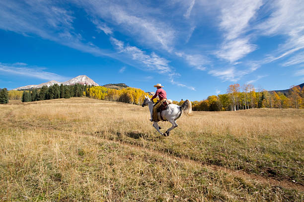 istock rocky mountain horseback landscape 155446817