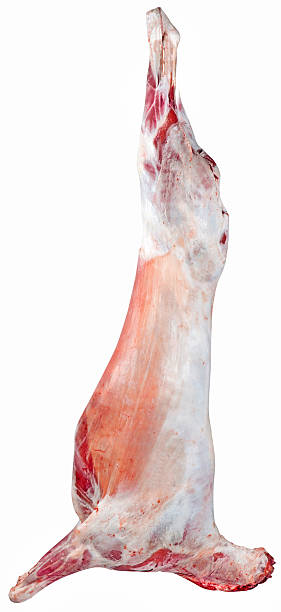 Lamb Carcass  dead animal photos stock pictures, royalty-free photos & images