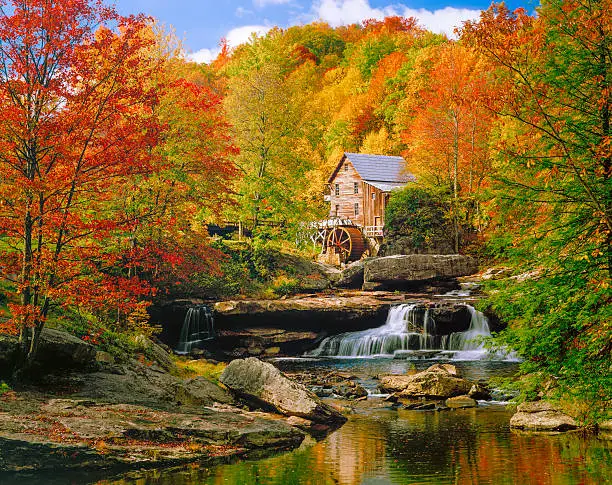 Picturesqe old Glade Creek Grist Mill with waterwheel and stream, in a blazing autumn colors setting.  Babcock State Park.