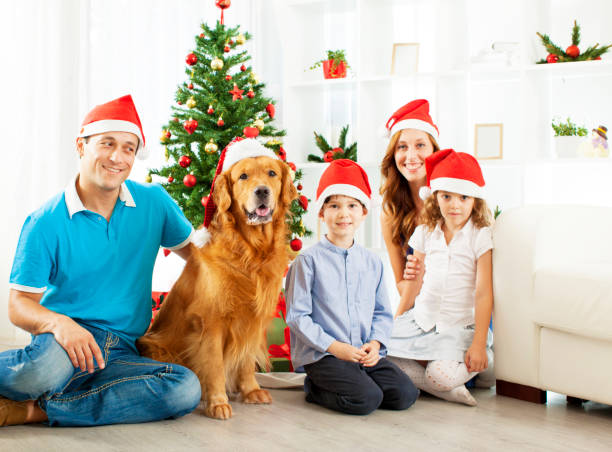 istock Christmas Family at home. 155447646