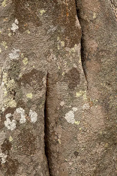 Photo of Carnac Stone