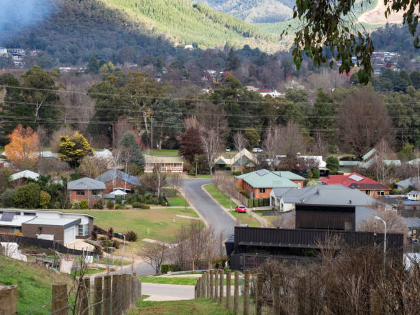 istock High angle view suburban neighbourhood 1554496848