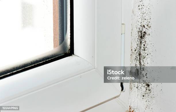 Moldy Corner Stockfoto und mehr Bilder von Schwarzschimmel - Schwarzschimmel, Schimmel - Pilz, Fenster