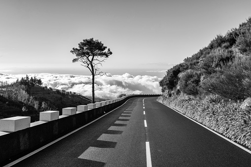 Black and white shot of road in Madeira,Portugal.