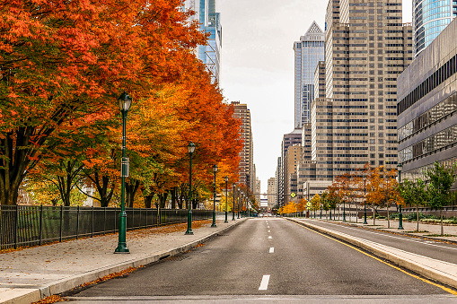 Center city Philadelphia.  Road with City view with autumn colored trees.