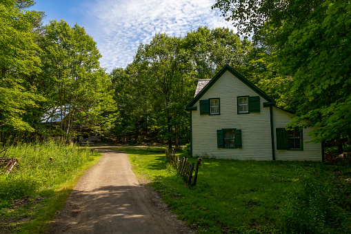 A pioneer home rests beside a dirt road in a forest in Huntsville, Ontario's Heritage Place.