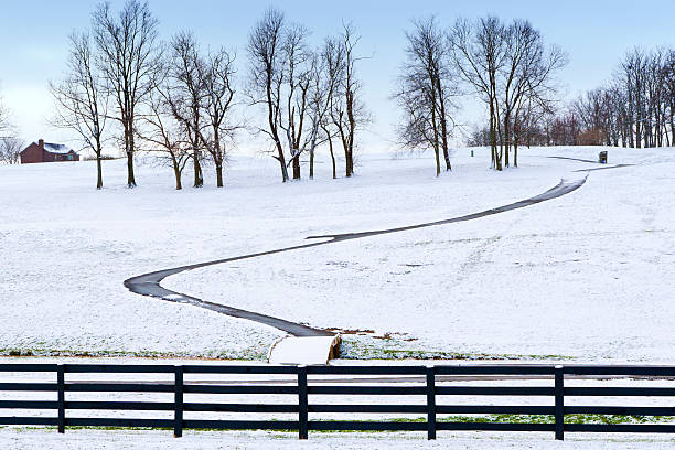 Winter country scene with trees and a path. stock photo