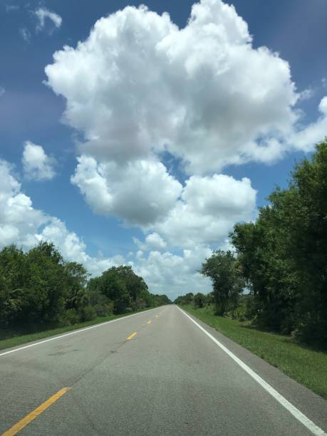 istock Wonderful day driving down a rural Florida road. 1554537106