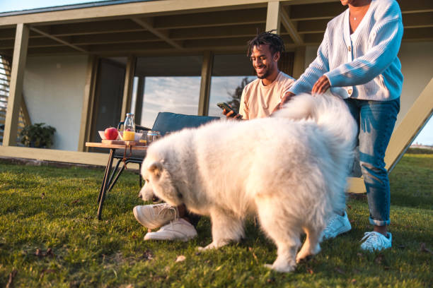 istock African American Couple Having Fun with their Dog 1554553214
