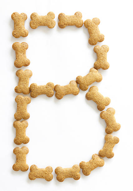 istock Bone Shape Dog food Letter B 155457401