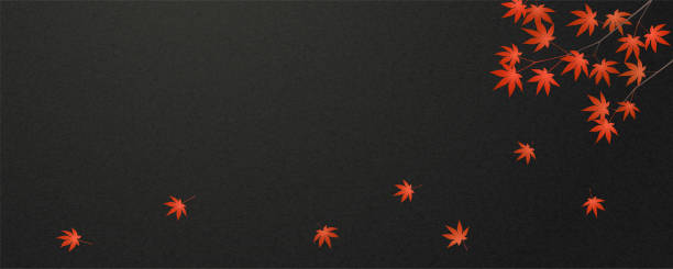 ilustracja przedstawiająca czerwone gałęzie i liście klonu japońskiego oraz czarne tło z papieru japońskiego. projekt banera, nagłówka. - black background panoramas fall flowers stock illustrations