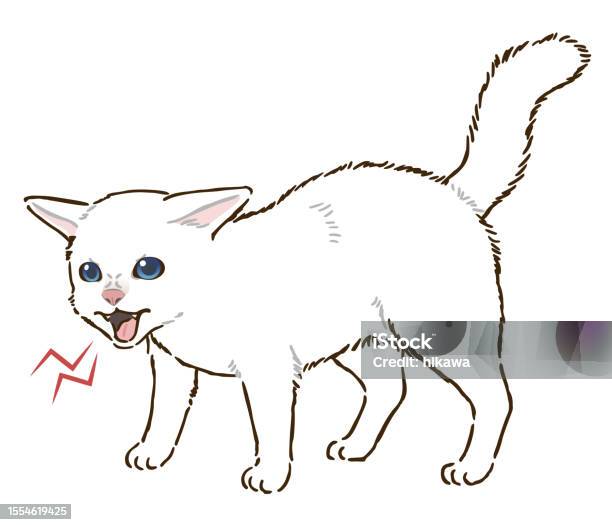 White Raging Cat Angry White Cat Stock Illustration - Download Image Now - Anger, Animal ...