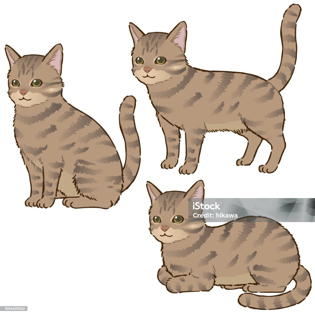 Cikucing Berbagai Pose Kucing Kucing Coklat Ilustrasi Stok - Unduh Gambar ...