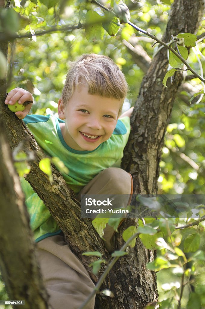 Niño en un árbol de manzana - Foto de stock de Niño libre de derechos