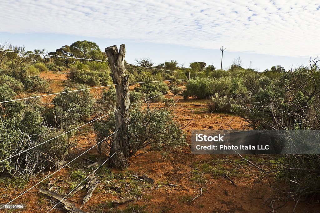 outback Australiano - Foto de stock de Areia royalty-free