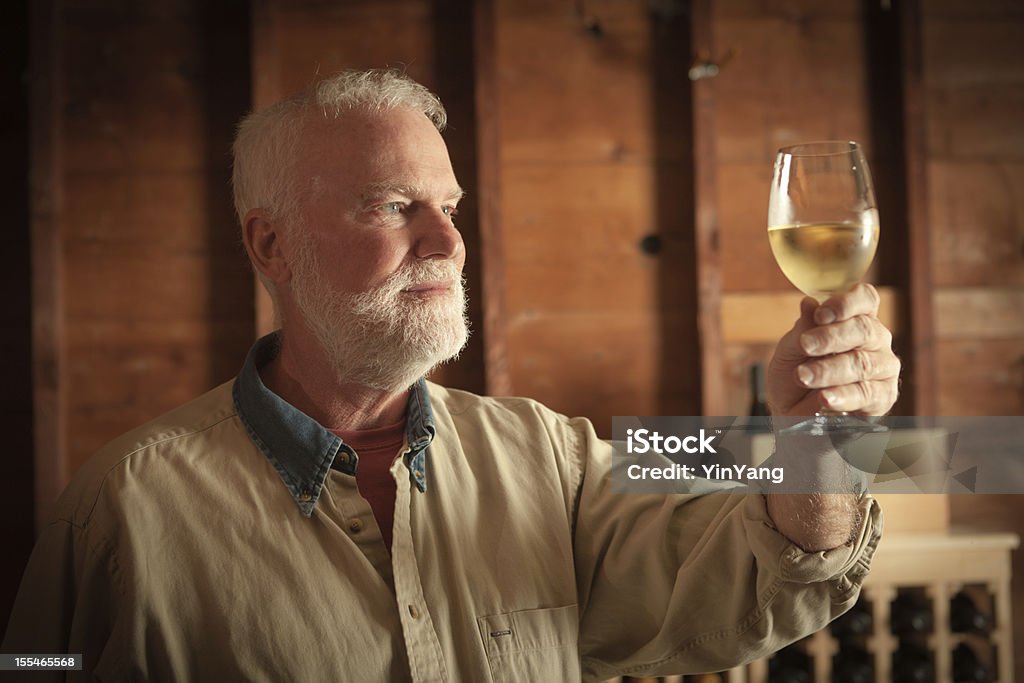 Winemaker estudar e a degustação de vinho branco na adega Hz - Foto de stock de Adega - Característica arquitetônica royalty-free