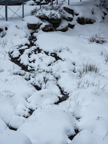 istock Snowy creek and rocks 1554733775