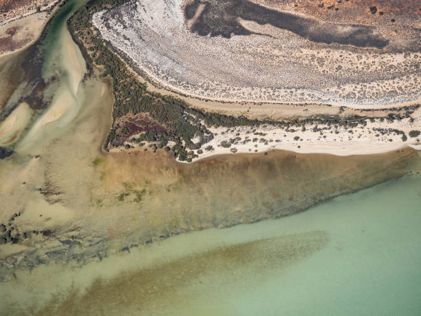 istock Aerial view of remote coastline 1554739178