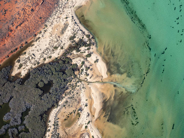 istock Aerial view of remote coastline 1554740321