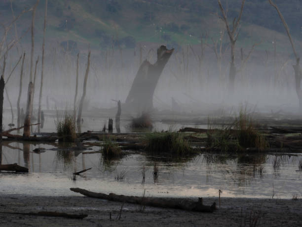 Stillness in the morning light Winton Wetlands Victoria Australia