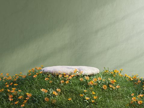 Empty backyard with green grass and flowerbed