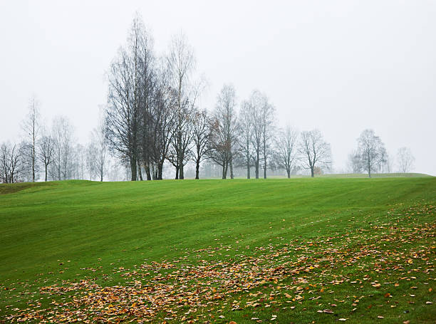 istock Landscape with green lawn and deciduous trees in white mist. 155476167
