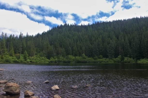 istock View of pine covered mountains across a clear lake surface 1554777046