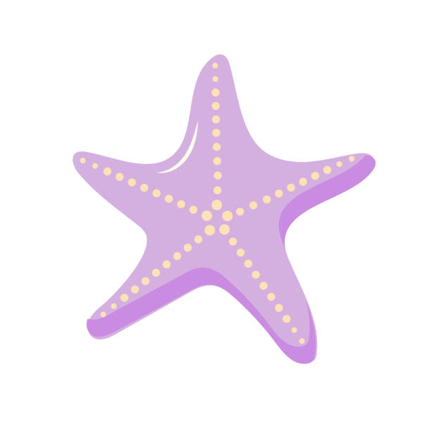 istock Starfish. Marine icon. Cartoon flat illustration isolated on white background. 1554786098