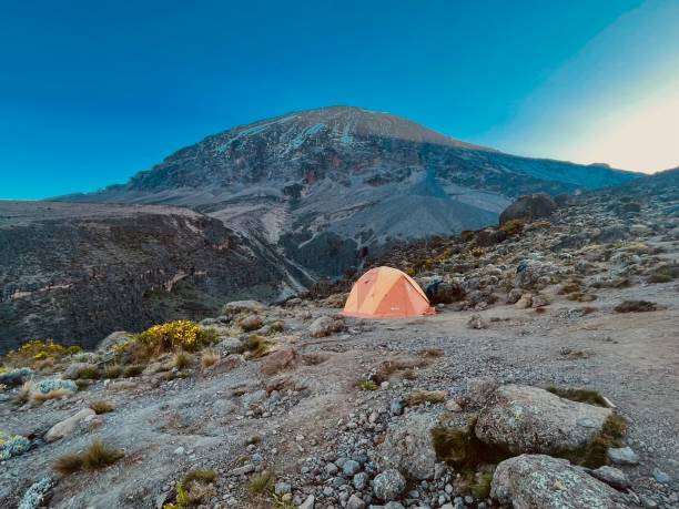 istock Lone tent with Mt Kilimanjaro 1554803830